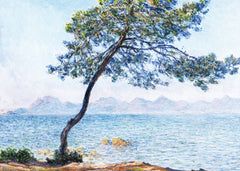 Arbres. Coffret l'essentiel