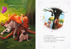 Merveilleuses histoires d'animaux