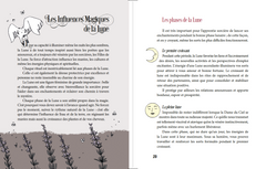 Le manuel de la sorcière moderne