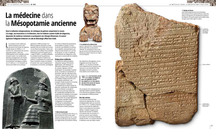 Médecine, histoire illustrée de l'Antiquité à nos jours