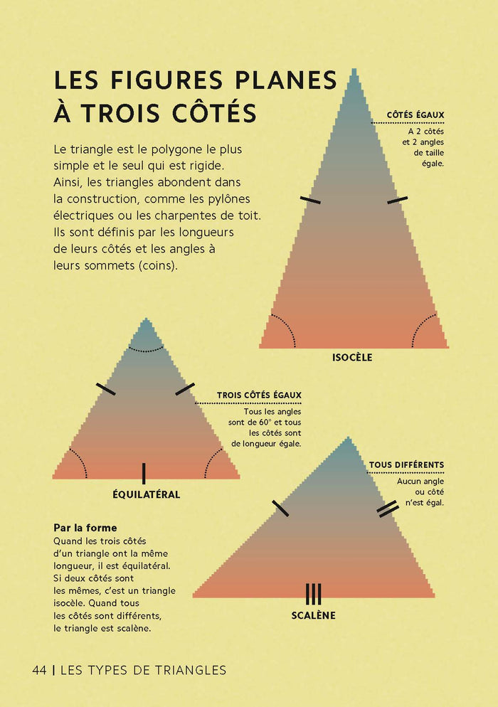 Les mathématiques en 101 infographies