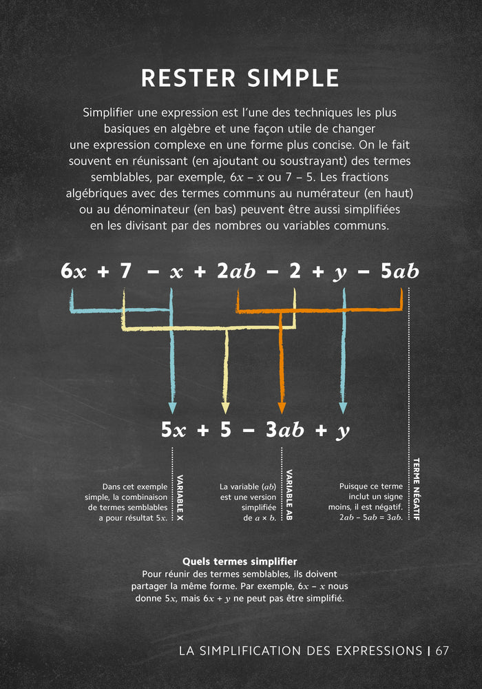 Les mathématiques en 101 infographies