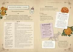 Le nouveau grimoire de sorcière
