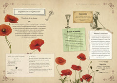 Le nouveau grimoire de sorcière