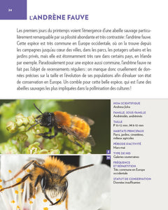 Abeilles sauvages