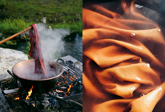 Teindre avec les plantes
