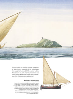 Des courses et des phares
