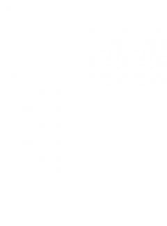 Titeuf, le livre d'or