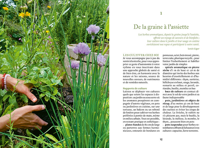 Les herbes aromatiques