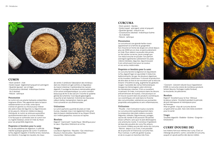 India: Cuisine ayurvédique et veggie