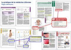 La pratique de la médecine chinoise