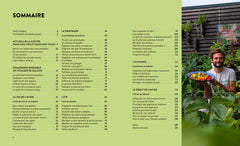 Tomates et basilic au 5ème étage