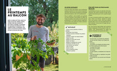 Tomates et basilic au 5ème étage