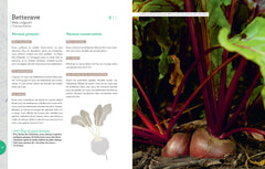 Dans votre potager, tout va pousser !
