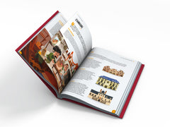 Histoire de France Vol.4 - Temps Modernes