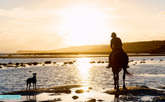 Mes astuces pour cavaliers