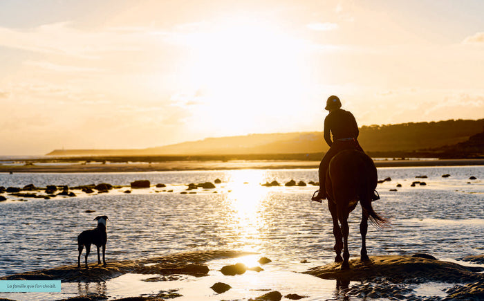 Mes astuces pour cavaliers