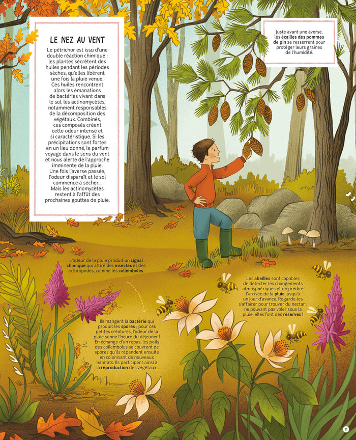 Ces trésors qui t'attendent dehors