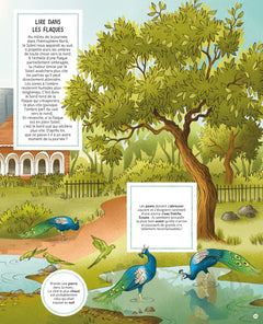 Ces trésors qui t'attendent dehors