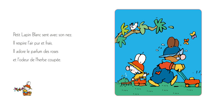 Petit lapin blanc découvre la nature