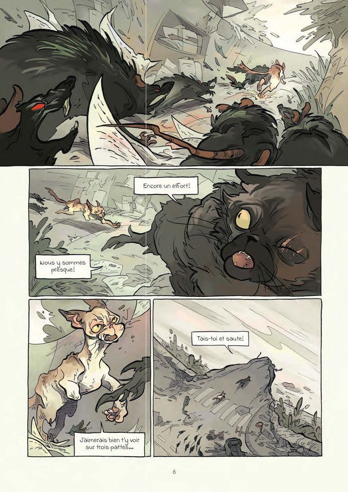 Sa majesté des chats