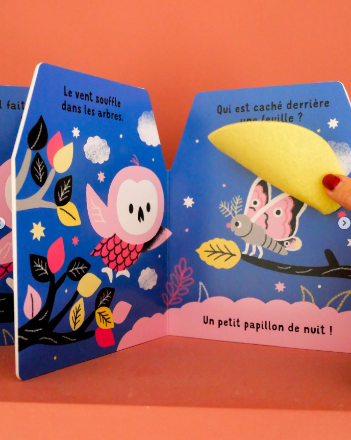 Cache-cache petite chouette