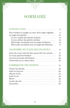 Encens et potions en magie