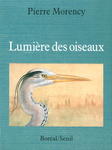 Lumière des oiseaux