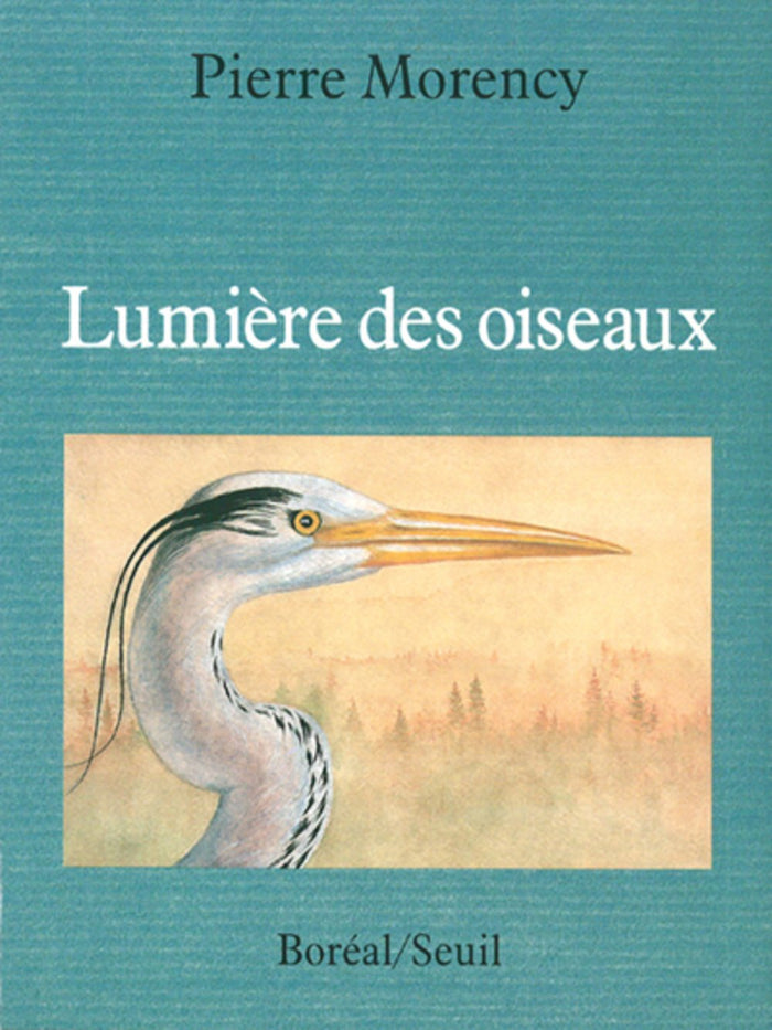 Lumière des oiseaux