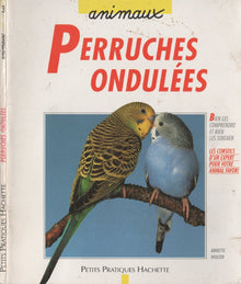 La perruche ondulée