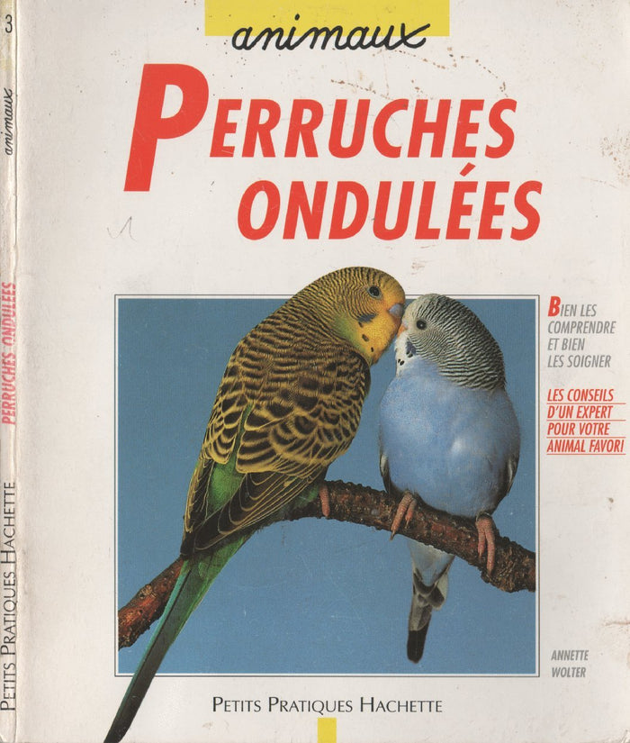 La perruche ondulée