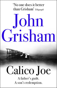 Calico Joe: The unforgettable family drama from the number 1 Sunday Times bestselling author