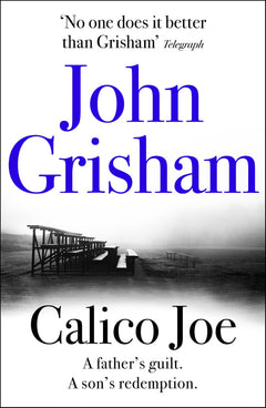 Calico Joe: The unforgettable family drama from the number 1 Sunday Times bestselling author