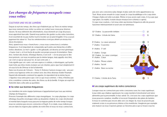 Le guide de l'invisible