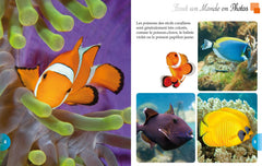 Les animaux des mers