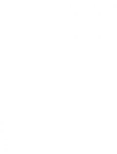 The Lapins Crétins - Champions du monde !