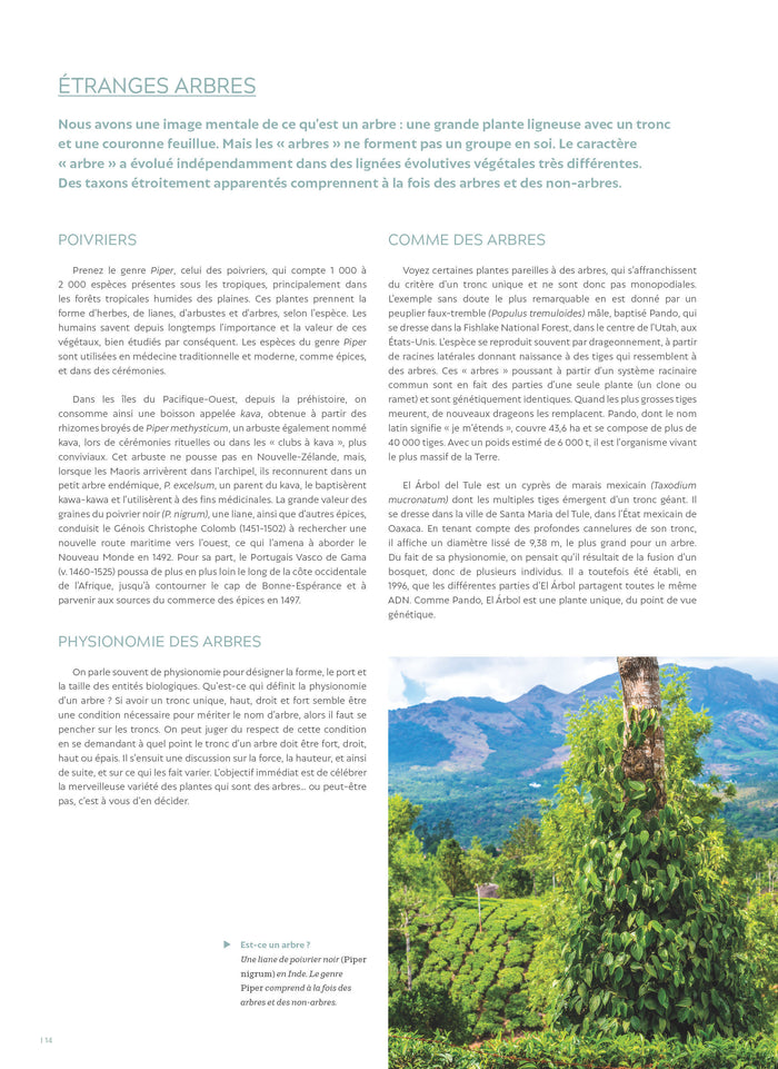 Le grand atlas des arbres et forêts