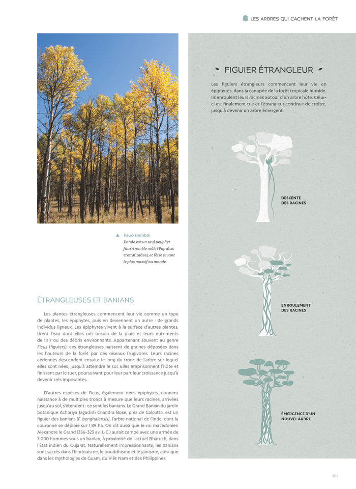 Le grand atlas des arbres et forêts