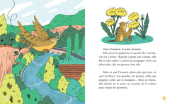 Le club des plumes vertes - Mission plastique