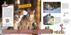 Wild : La vie sauvage