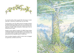 Le grand arbre au centre du monde