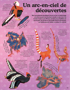 Le Kaléidoscope des dinosaures et autres animaux disparus