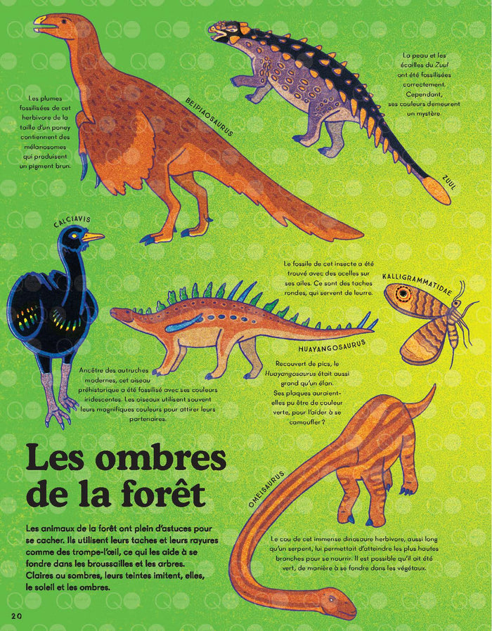 Le Kaléidoscope des dinosaures et autres animaux disparus