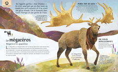 Incroyables animaux disparus ou menacés