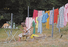 La fête