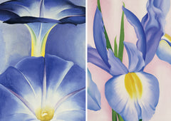 Fleurs. Coffret l'essentiel