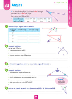 Pour comprendre maths 6e