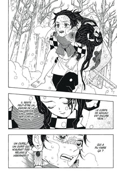 Coffret Demon Slayer T01 à T06