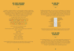 Le grand livre des énigmes médiévales