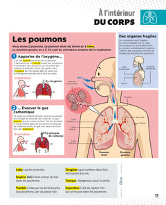 Le Petit Quotidien - L'encyclopédie visuelle - Corps humain